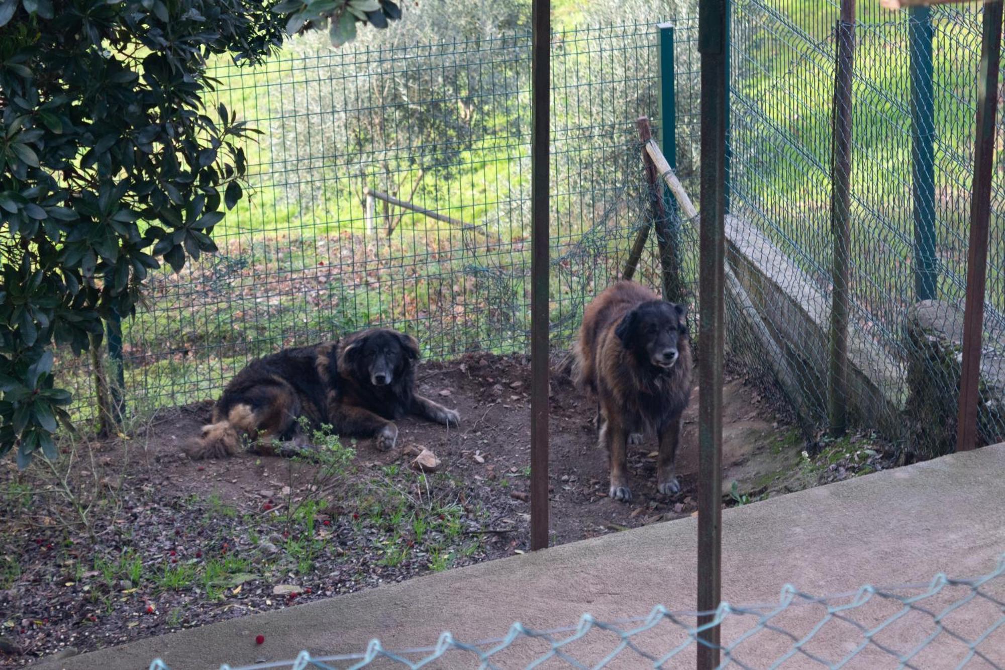 Ecofurtado Villa Bagian luar foto
