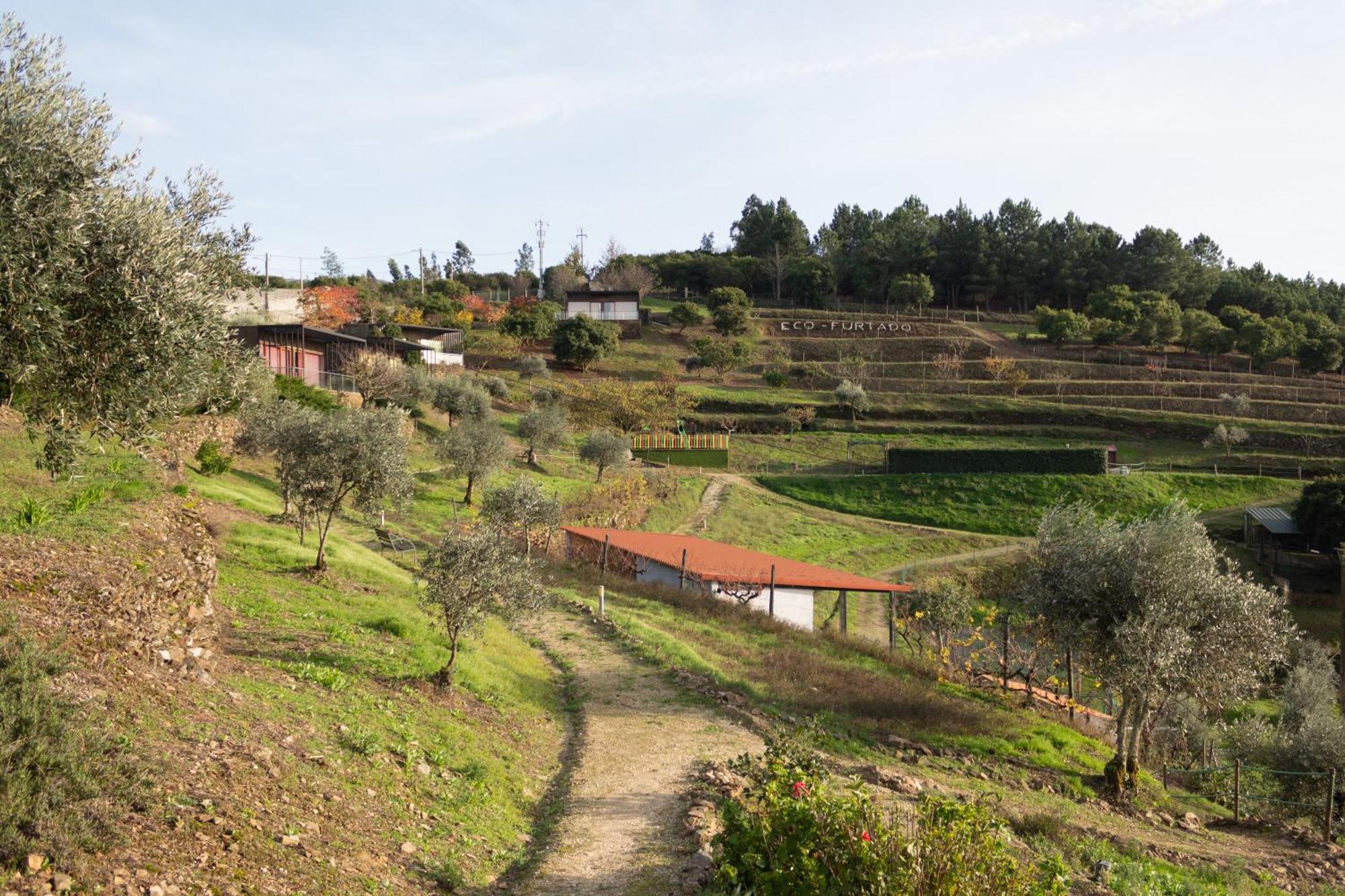 Ecofurtado Villa Bagian luar foto